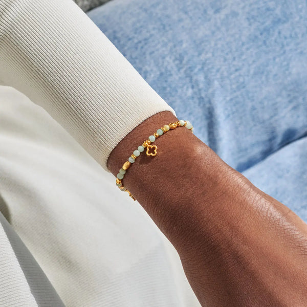 Joma Jewellery Affirmation Card 'Luck' Bracelet