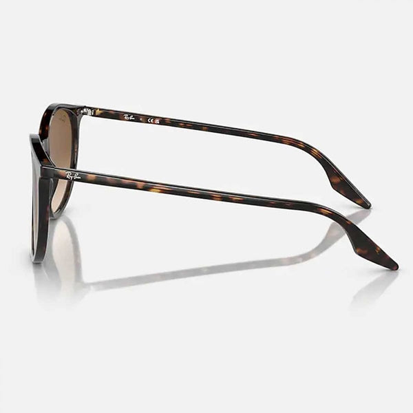 Ray-Ban RB2204 Phantos Polished Havana With Light Brown Gradient Treatment Lenses
