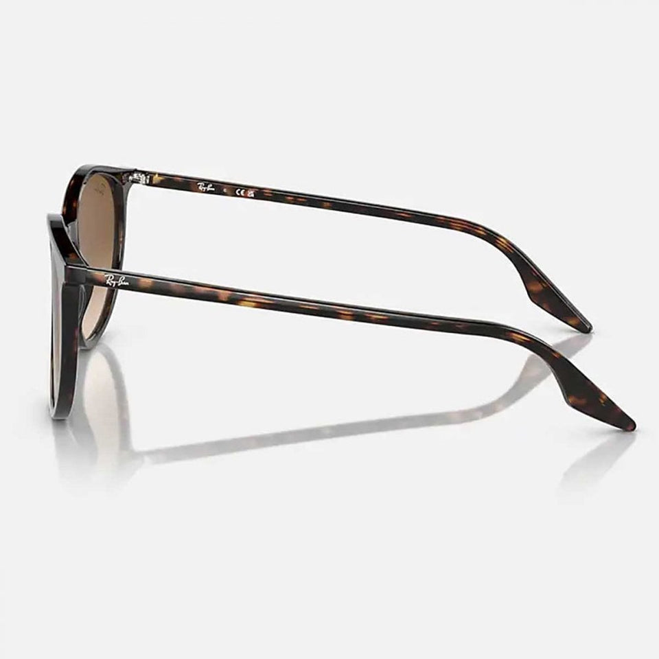 Ray-Ban RB2204 Phantos Polished Havana With Light Brown Gradient Treatment Lenses