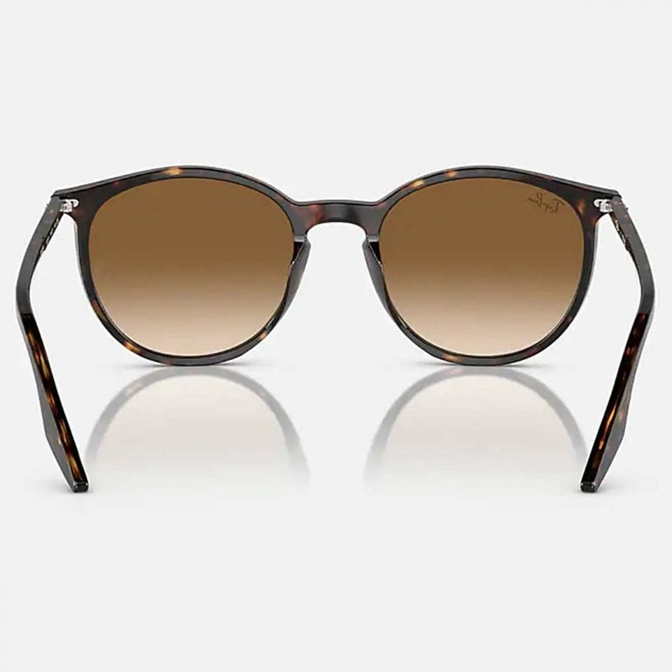 Ray-Ban RB2204 Phantos Polished Havana With Light Brown Gradient Treatment Lenses