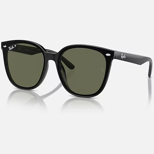 Ray-Ban RB4423D Polished Black With Dark Green Lenses