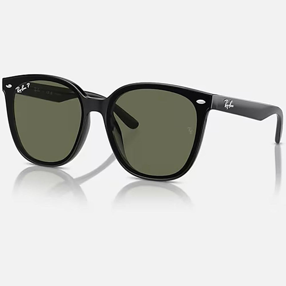 Ray-Ban RB4423D Polished Black With Dark Green Lenses