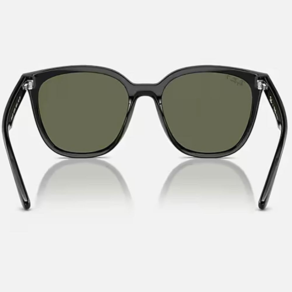 Ray-Ban RB4423D Polished Black With Dark Green Lenses