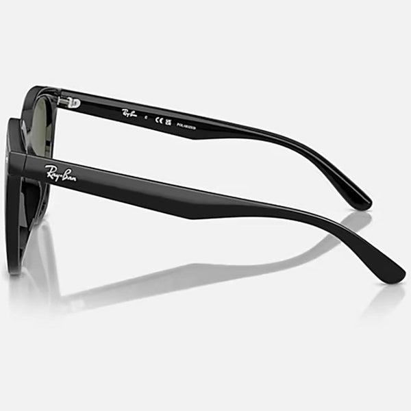 Ray-Ban RB4423D Polished Black With Dark Green Lenses