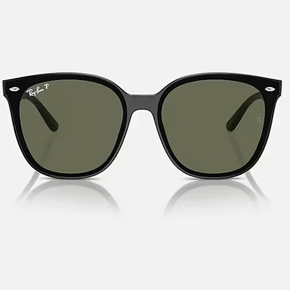 Ray-Ban RB4423D Polished Black With Dark Green Lenses
