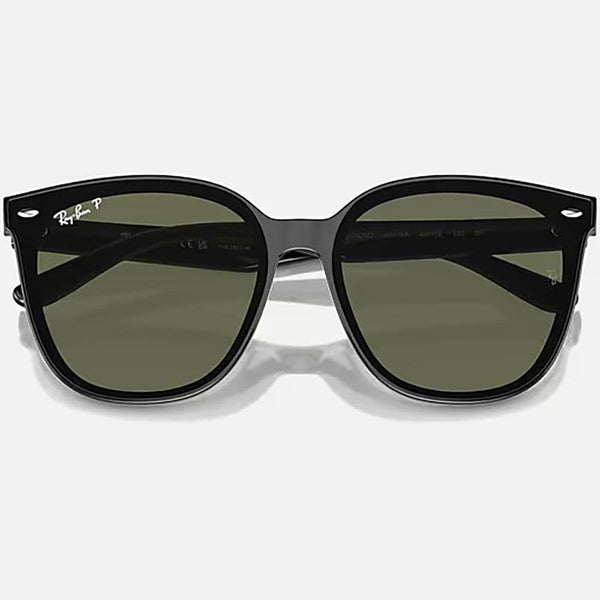 Ray-Ban RB4423D Polished Black With Dark Green Lenses