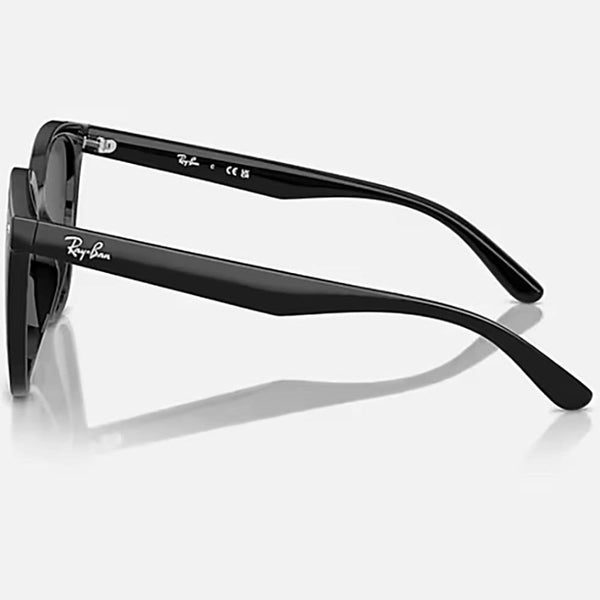 Ray-Ban RB4423D Polished Black With Dark Grey Lenses