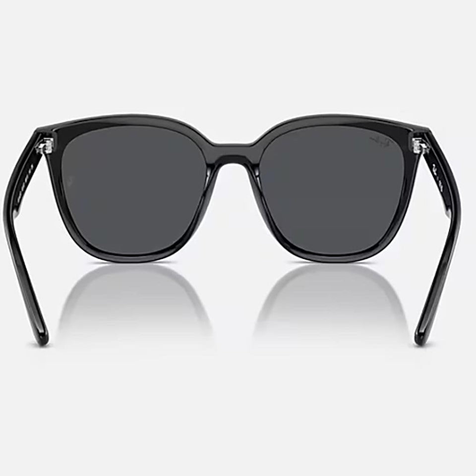 Ray-Ban RB4423D Polished Black With Dark Grey Lenses