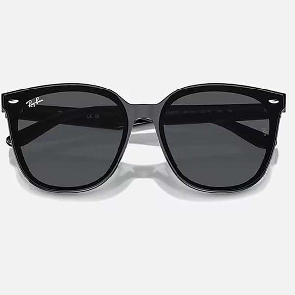 Ray-Ban RB4423D Polished Black With Dark Grey Lenses