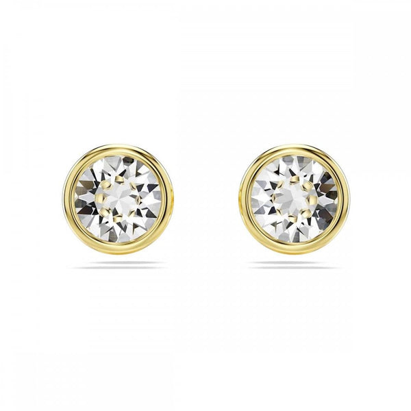 Swarovski Imber Round Cut Gold Plated Stone Set Stud Earrings