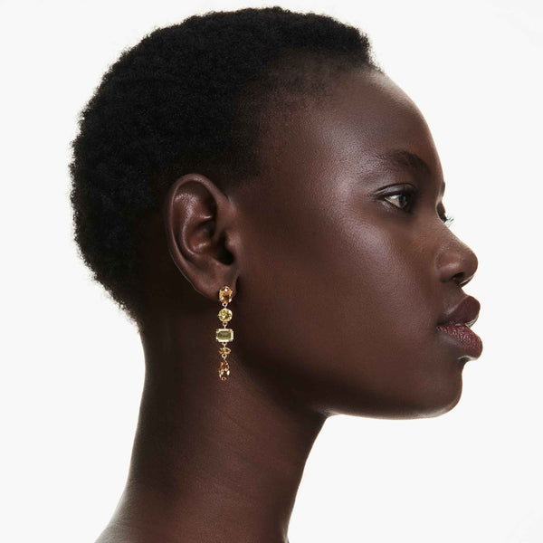 Swarovski Ladies Gema Gold Tone Mixed Cuts Drop Earrings