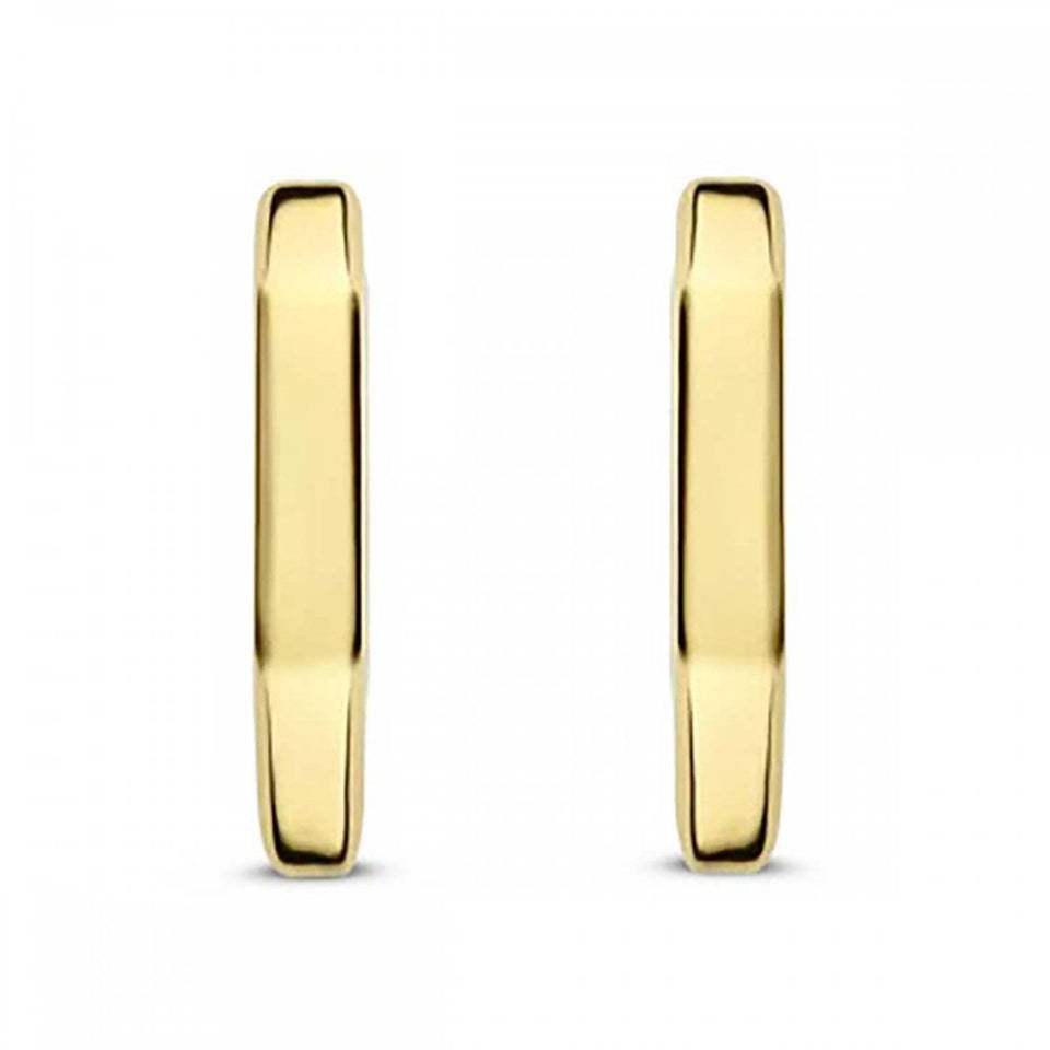 Ti Sento Ladies Oval Shaped Gold Plated Hooped Earrings
