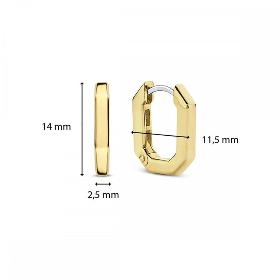 Ti Sento Ladies Oval Shaped Gold Plated Hooped Earrings