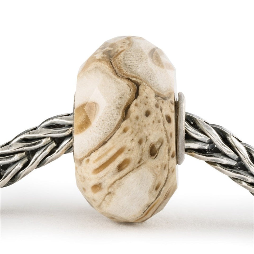 Trollbeads Fossilised Wood Bead