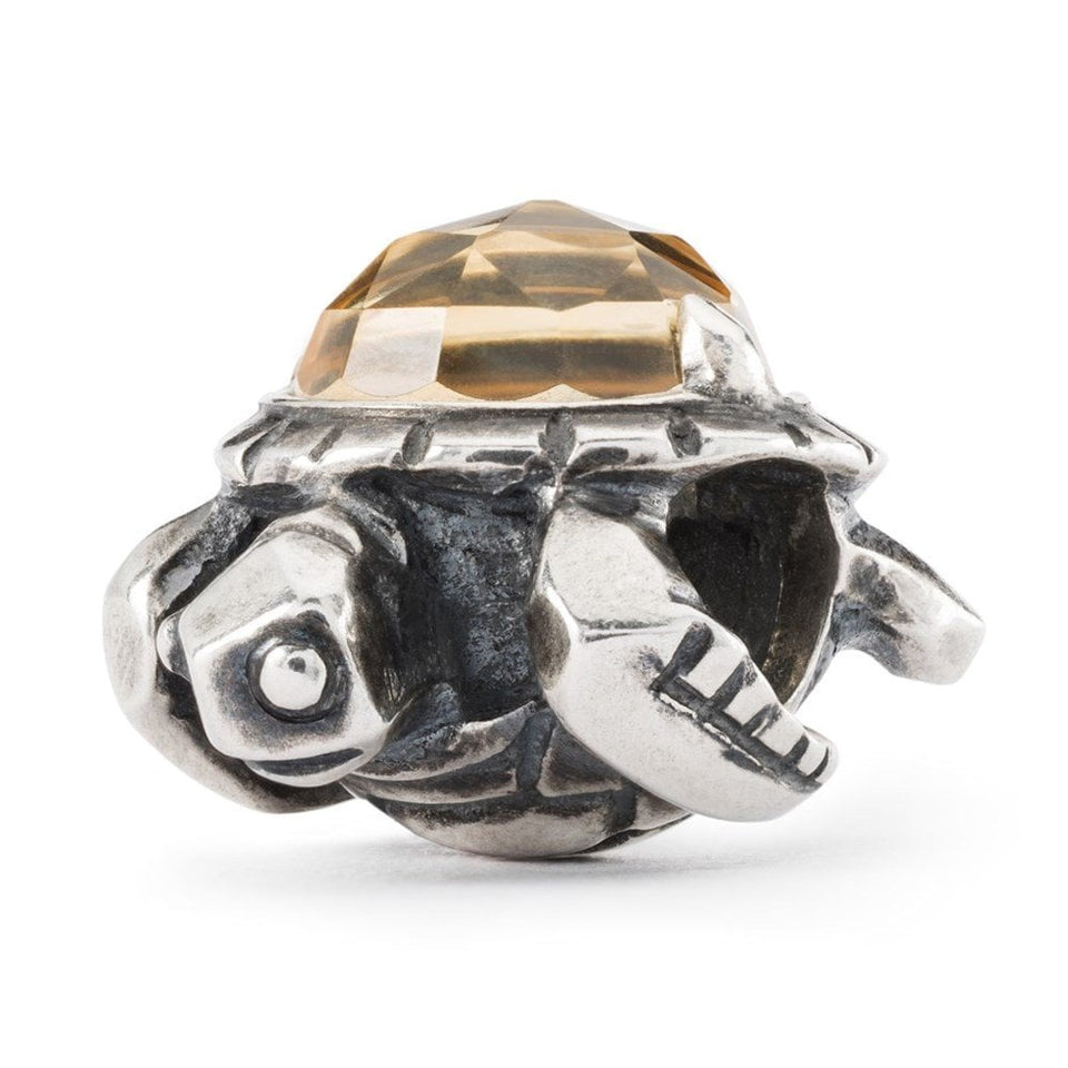 Trollbeads Long Life Bead