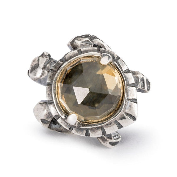 Trollbeads Long Life Bead
